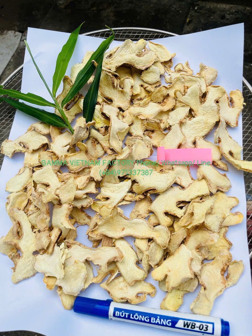 z7289916000530_0a254f524800d566cb3685ed6be6e366