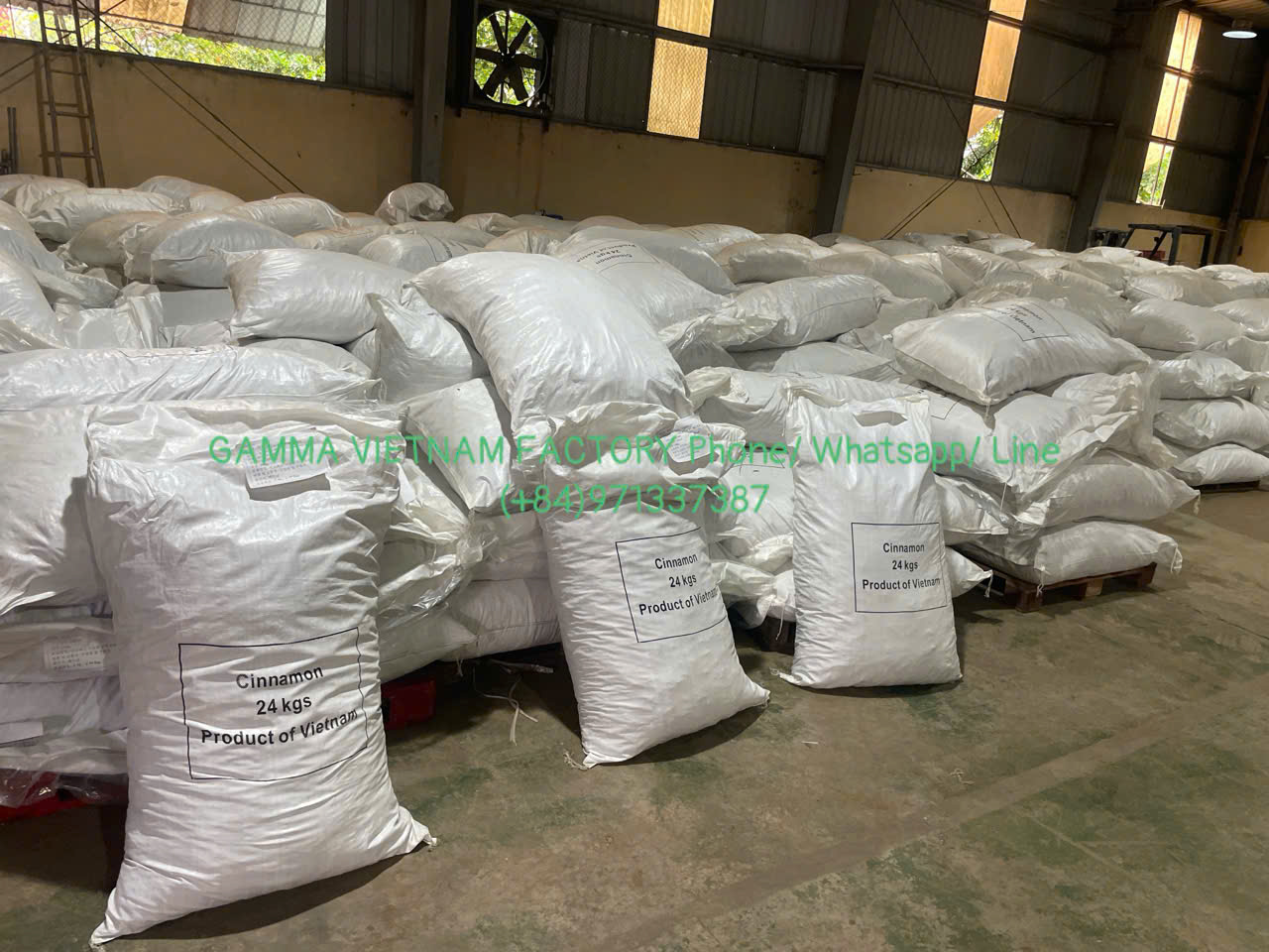 z7289937897911_465daf1bed44c4155abc1dbd1830697a