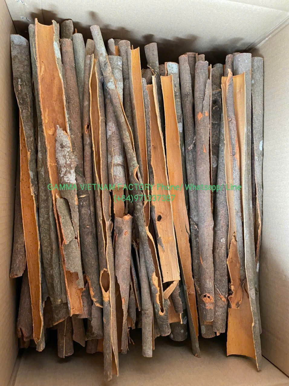 z7289937905741_1de485dc6119b66d8a7fd6251abc4d65