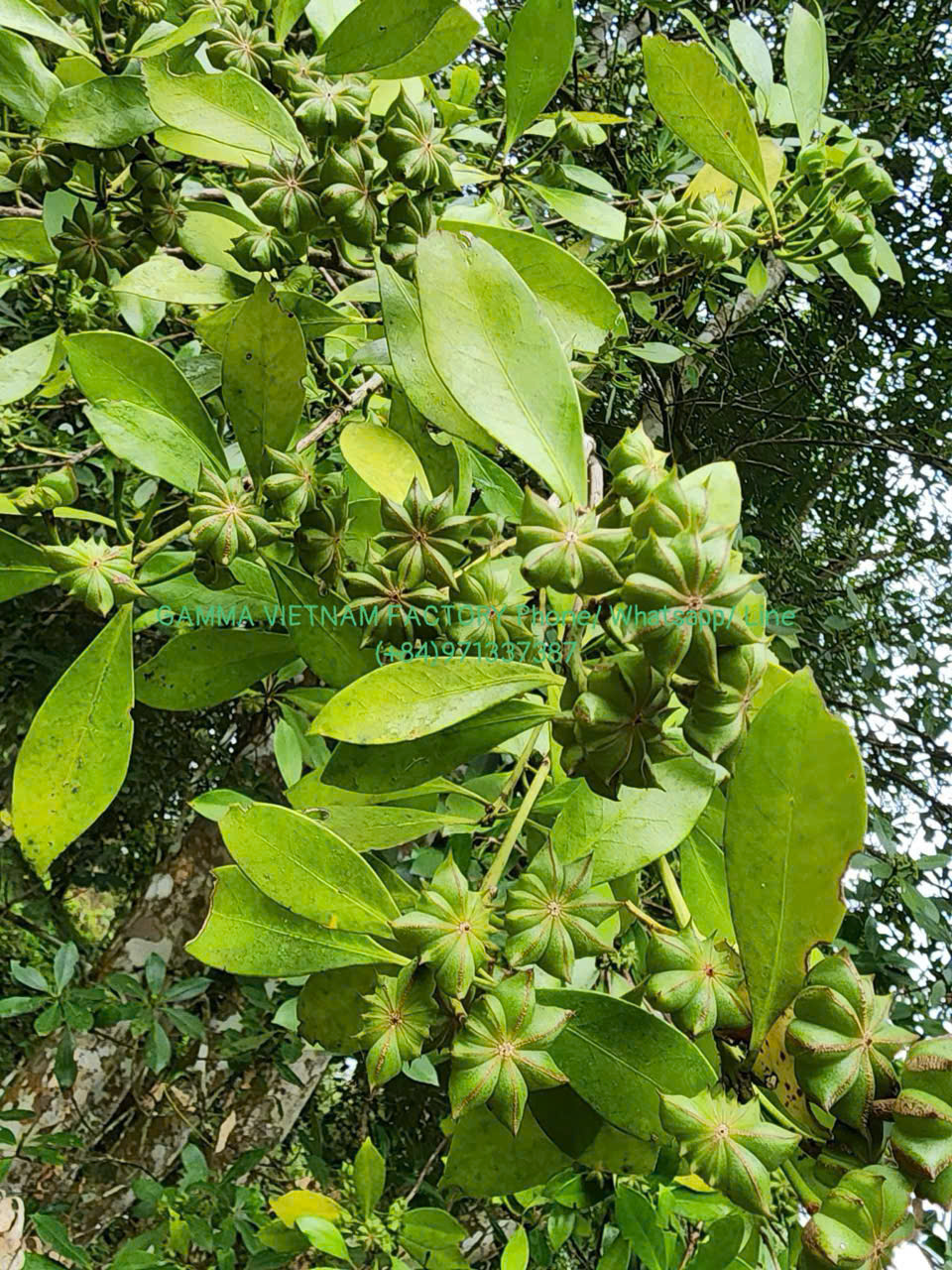 z7289947848427_aa9f7f9aabde3508c8bd08c9f95e2b48