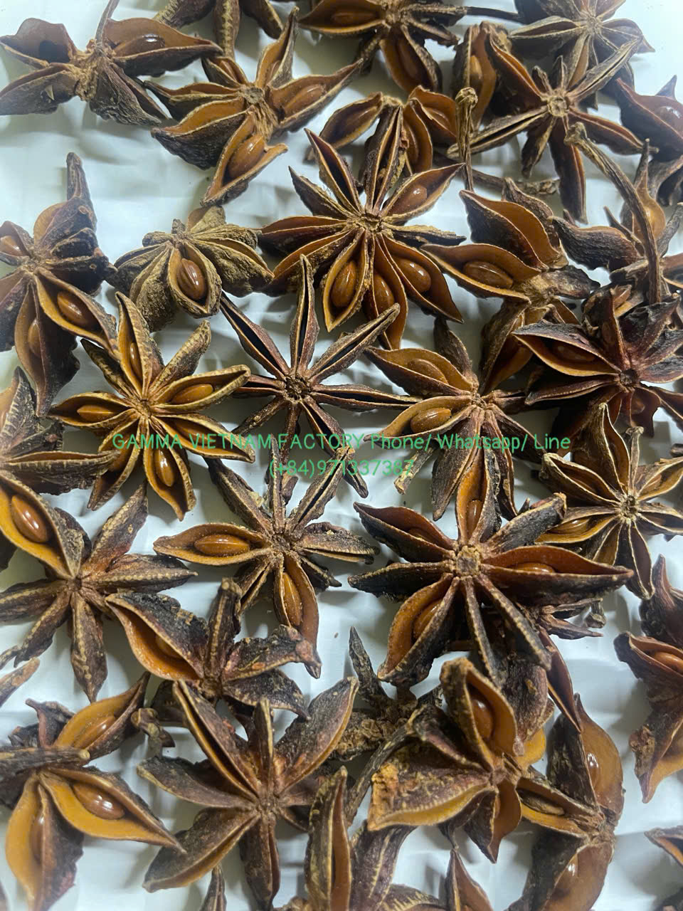 z7289947853588_93a8b74a37927d6155111e50a0727de8