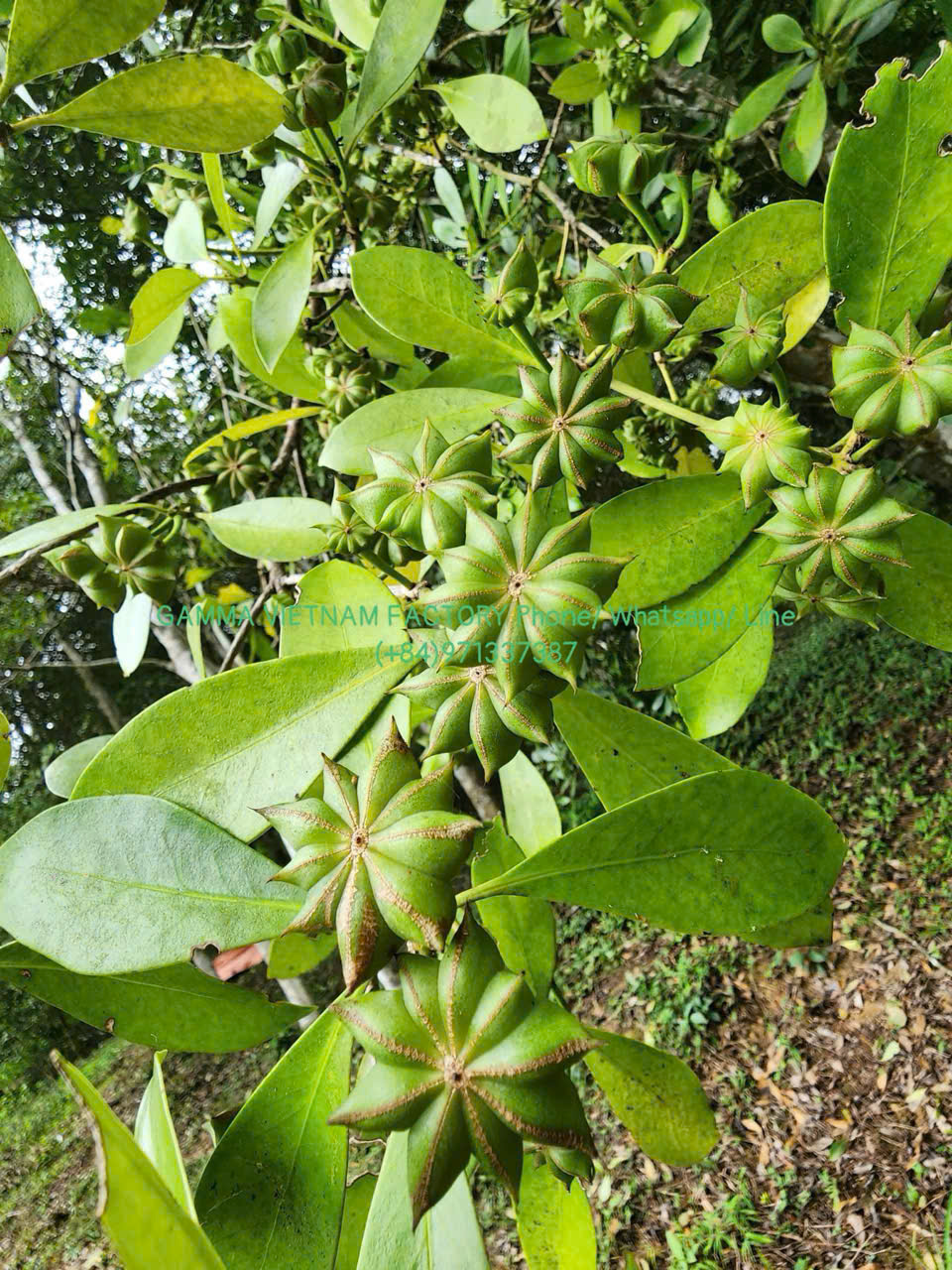 z7289947866752_49d61567d0aacc1be928802faf8aca41